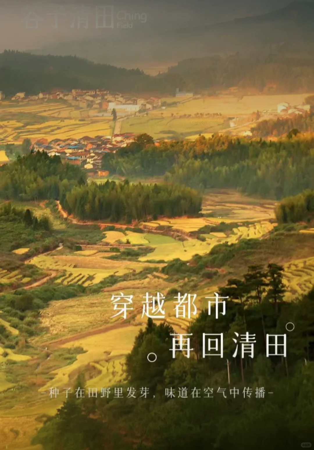 新乡宝龙｜谷予清田招聘！