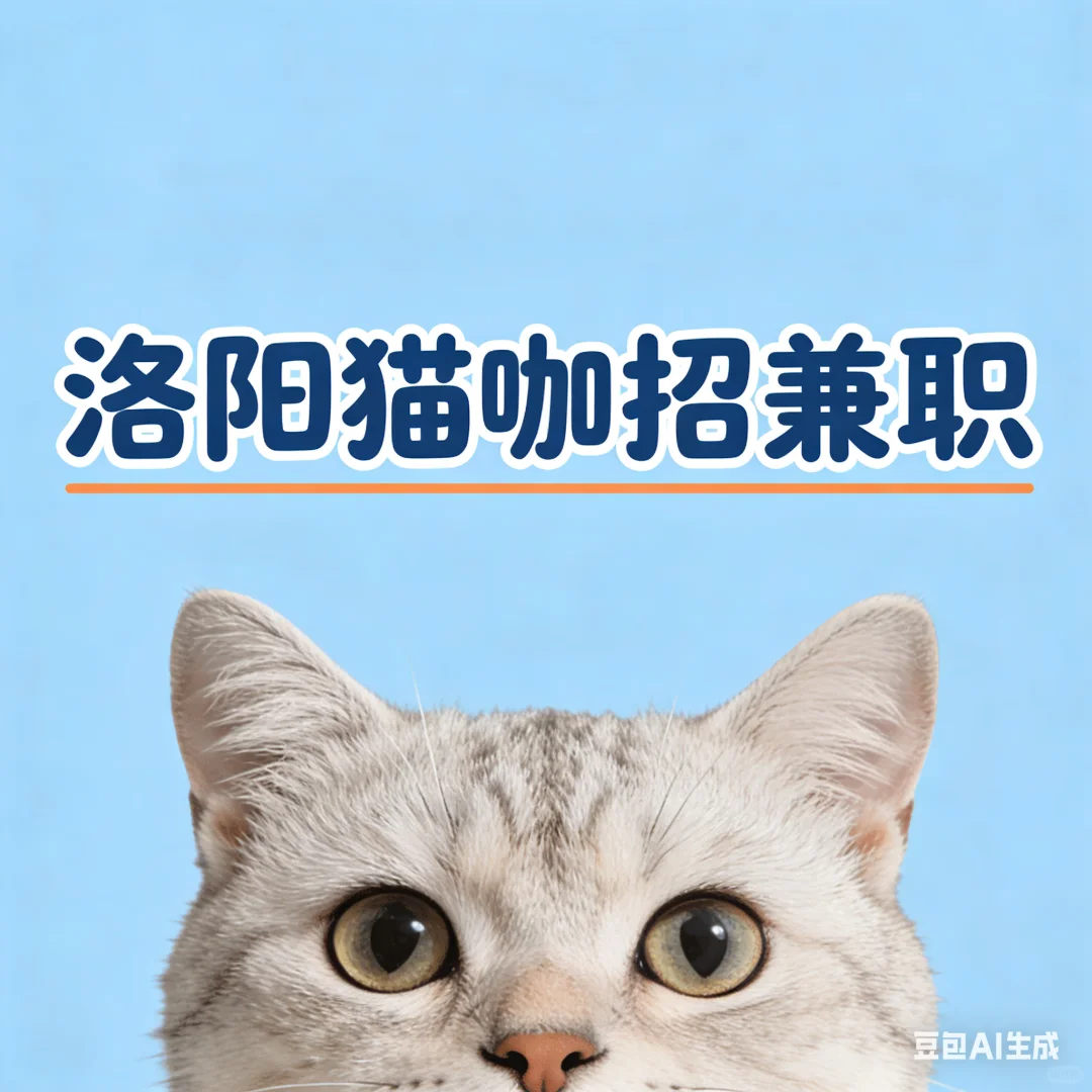 洛阳西工区猫咖 招兼职 快来！