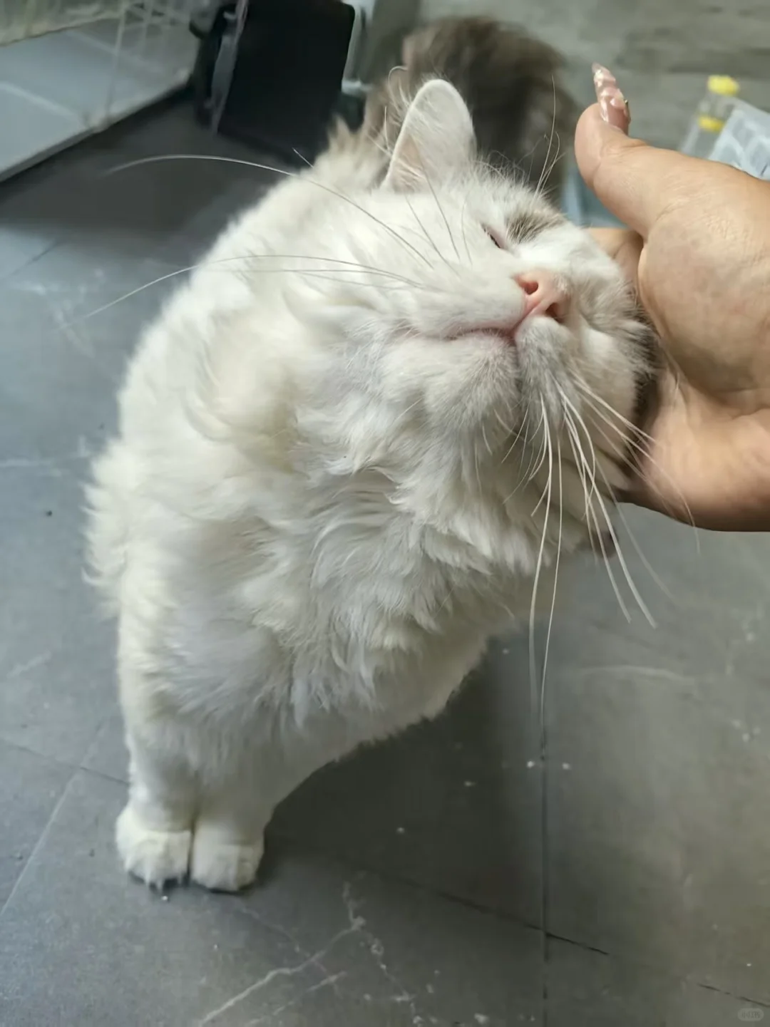 邵阳市双清区招人