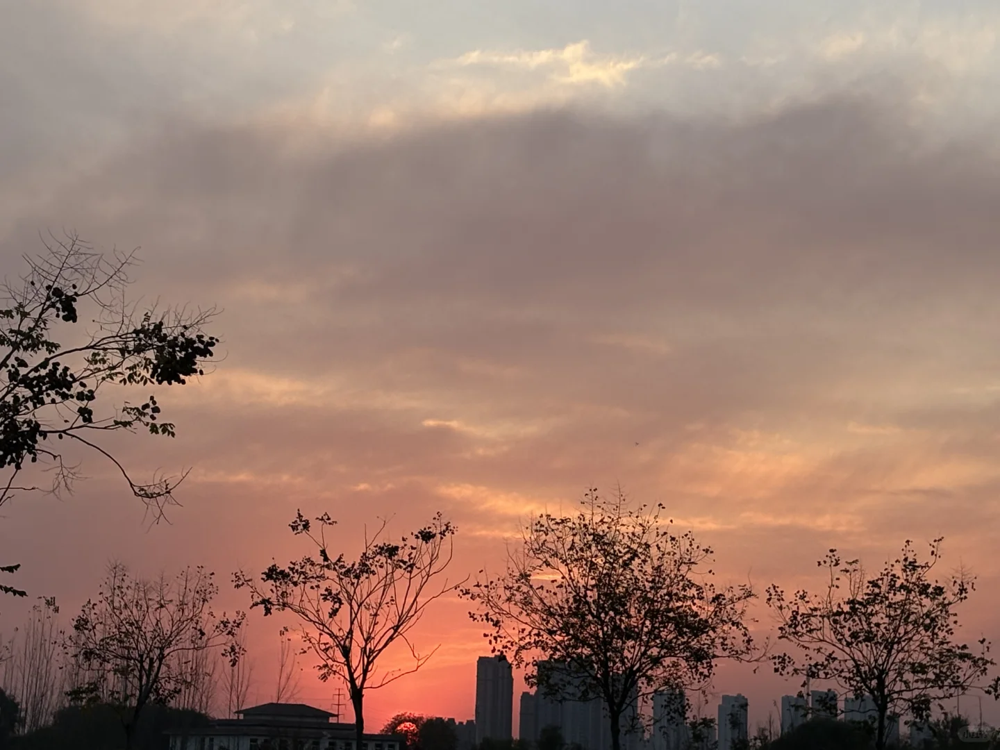 新乡先锋招聘啦