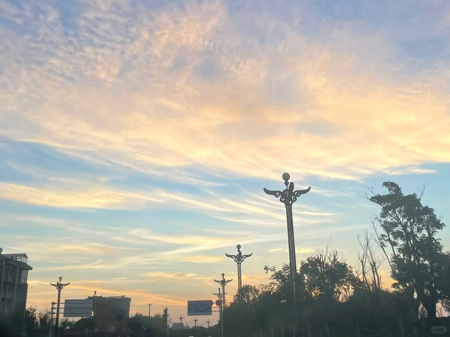 商丘总部港招人！