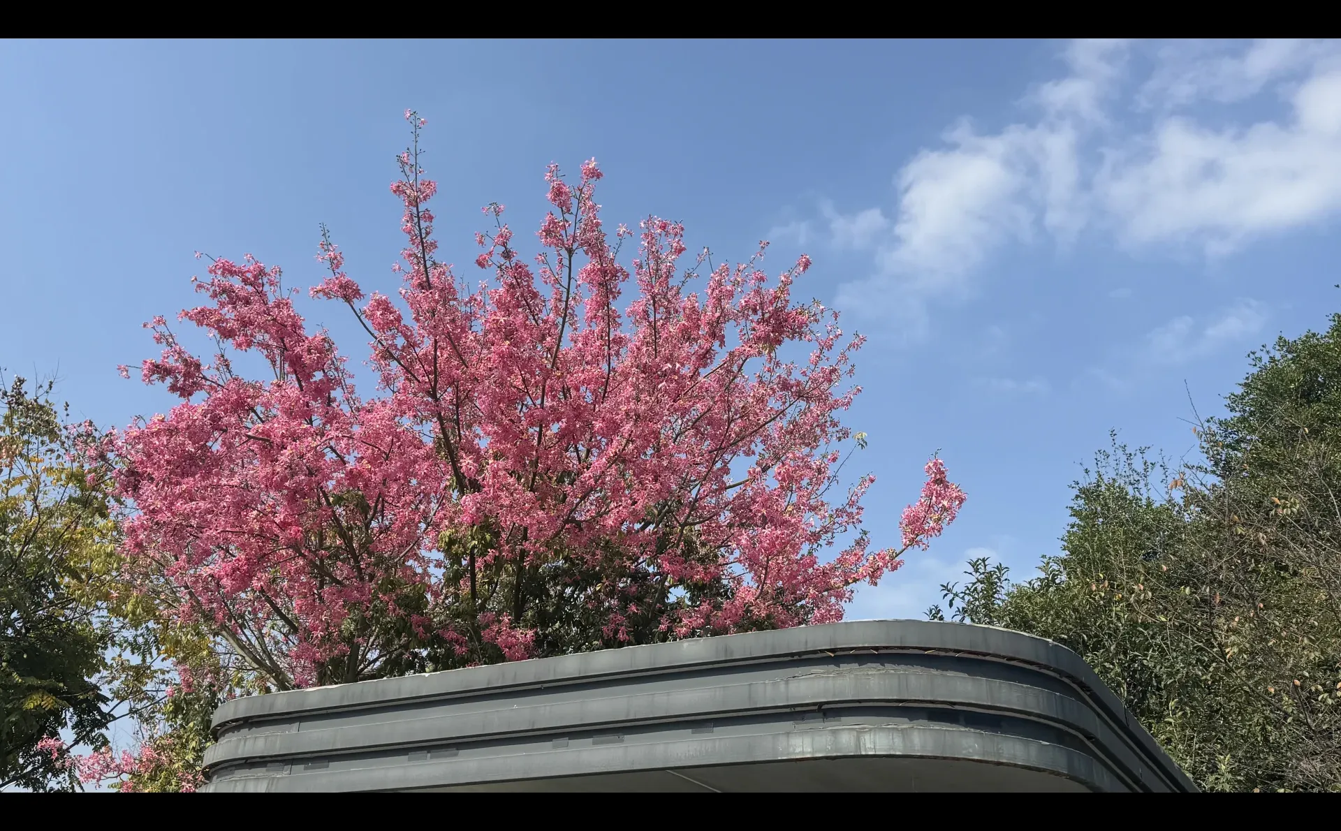 专利审查协作北京中心福建分中心2026年招聘