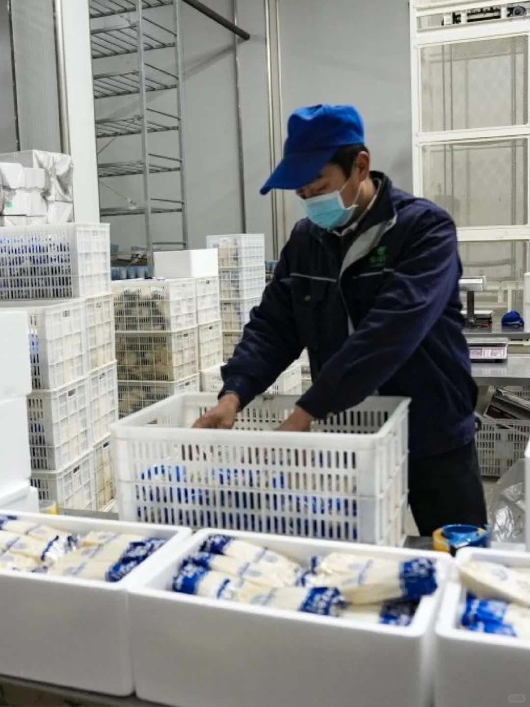 福建漳州蘑菇厂招聘长白班包吃包住