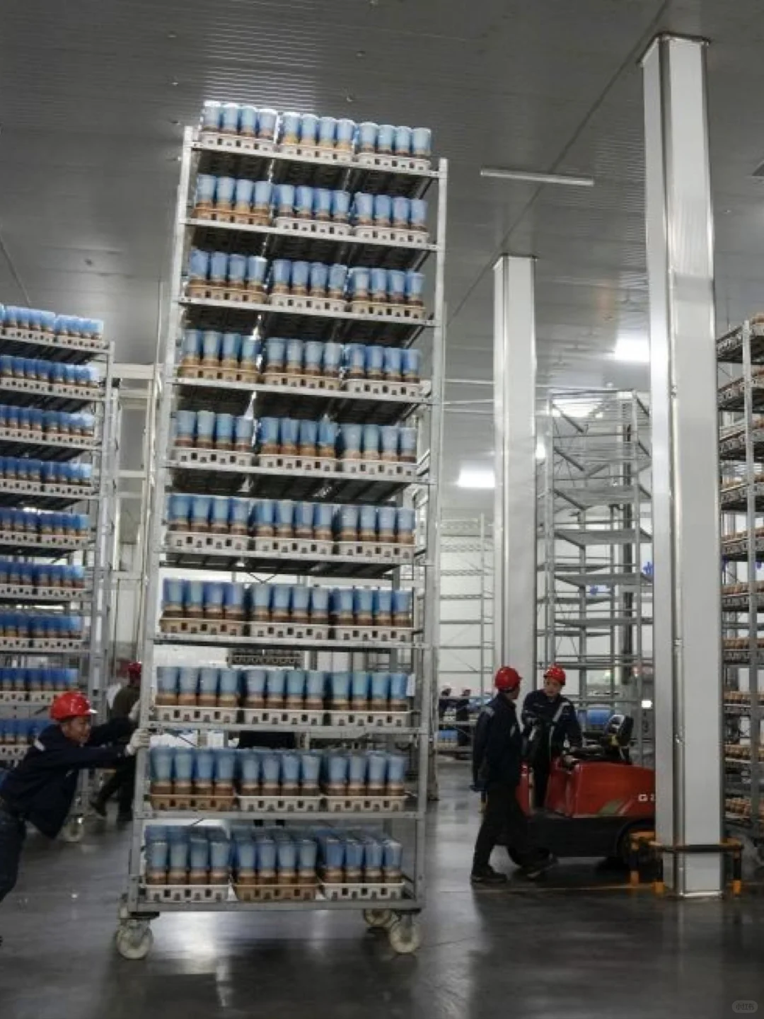 福建漳州蘑菇厂招聘长白班包吃包住