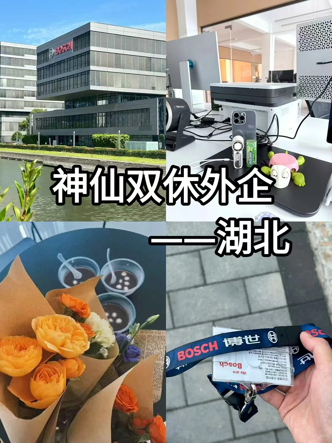 神仙双休外企——湖北