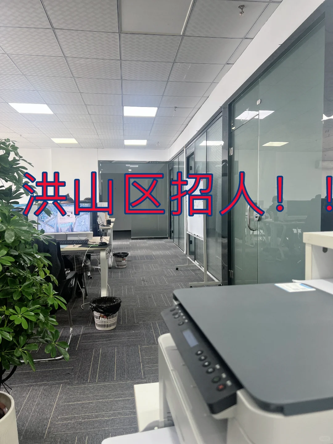 现在是招聘淡季吗，为什么都没人找工作啊！