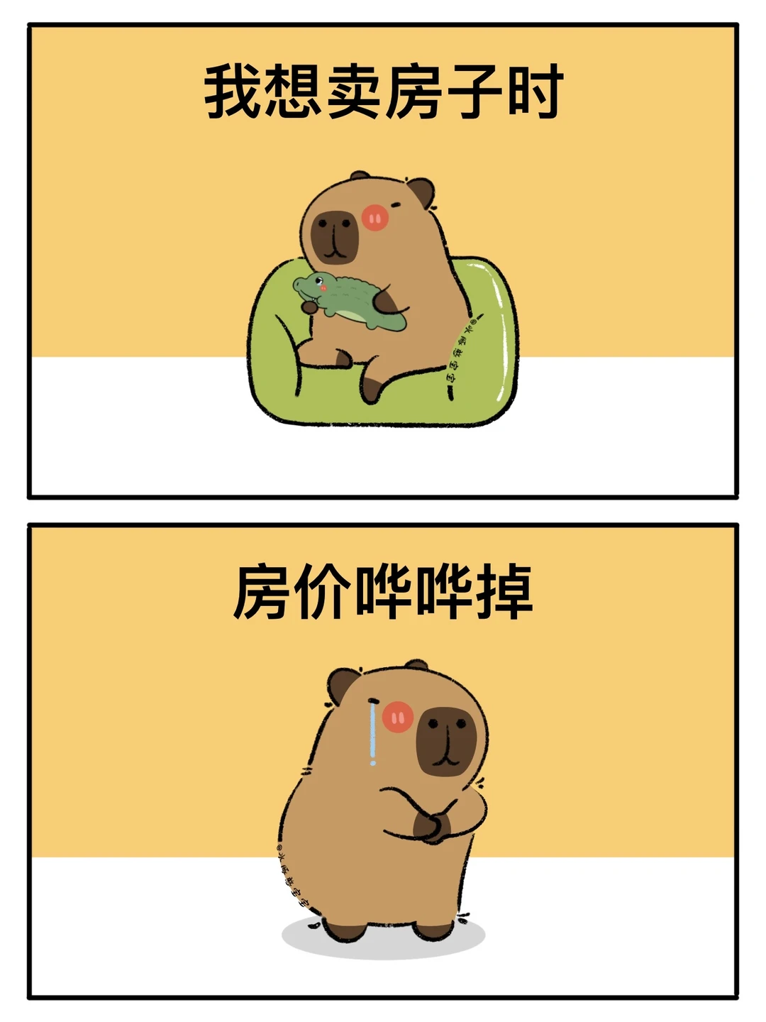 卡皮巴拉：8090是一点时代红利也没占着😨