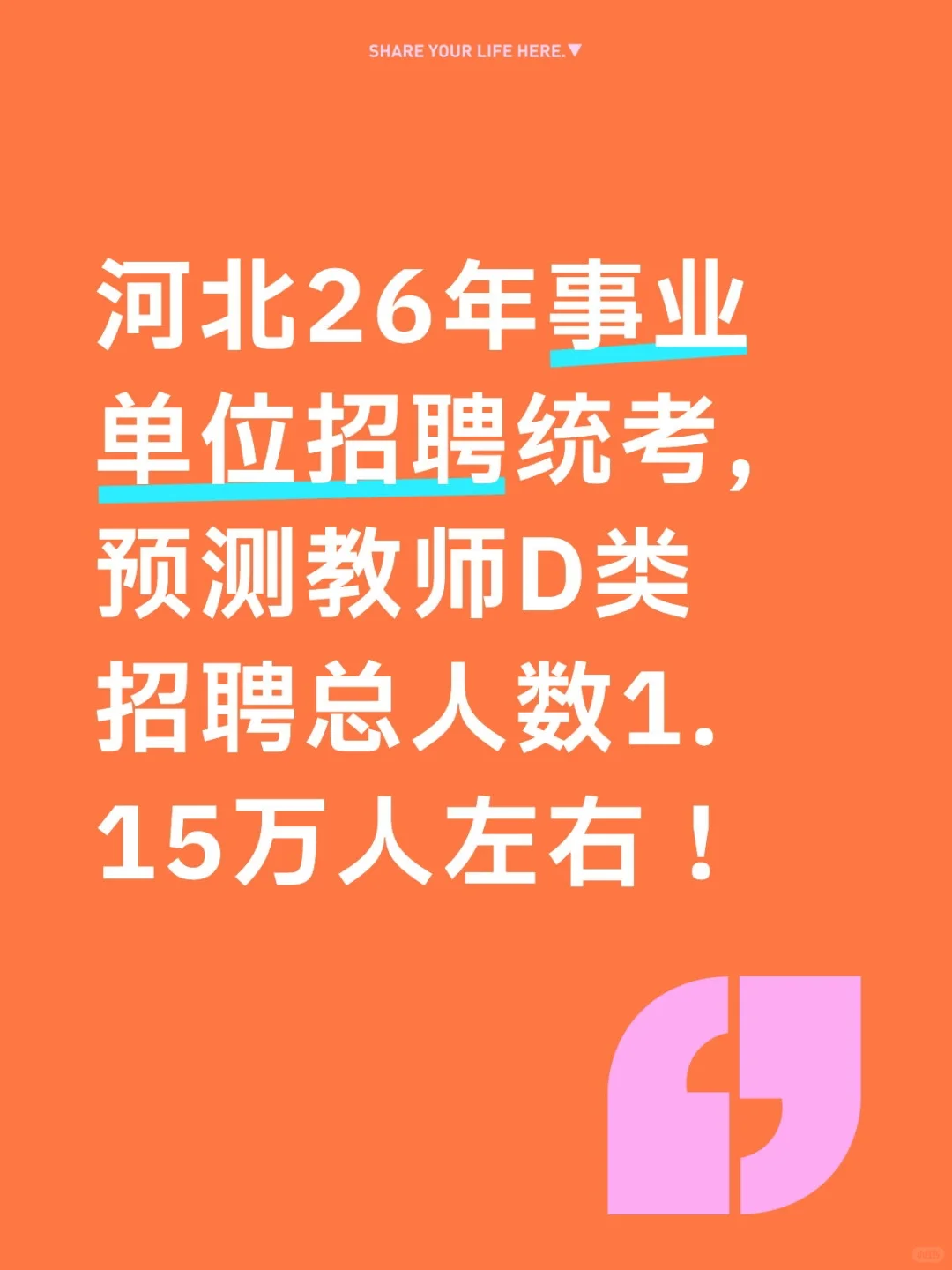 河北26年教师D类统考招1.15万名教师