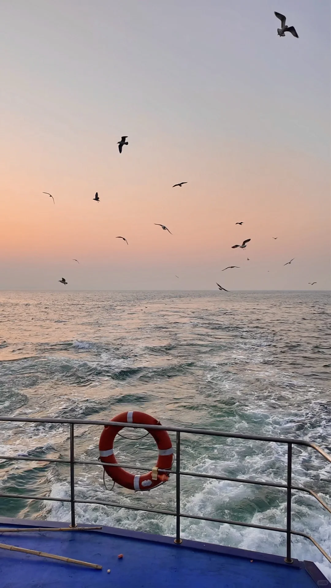 青岛轮渡🚢与陆地失联的四十分钟🌊🕊️