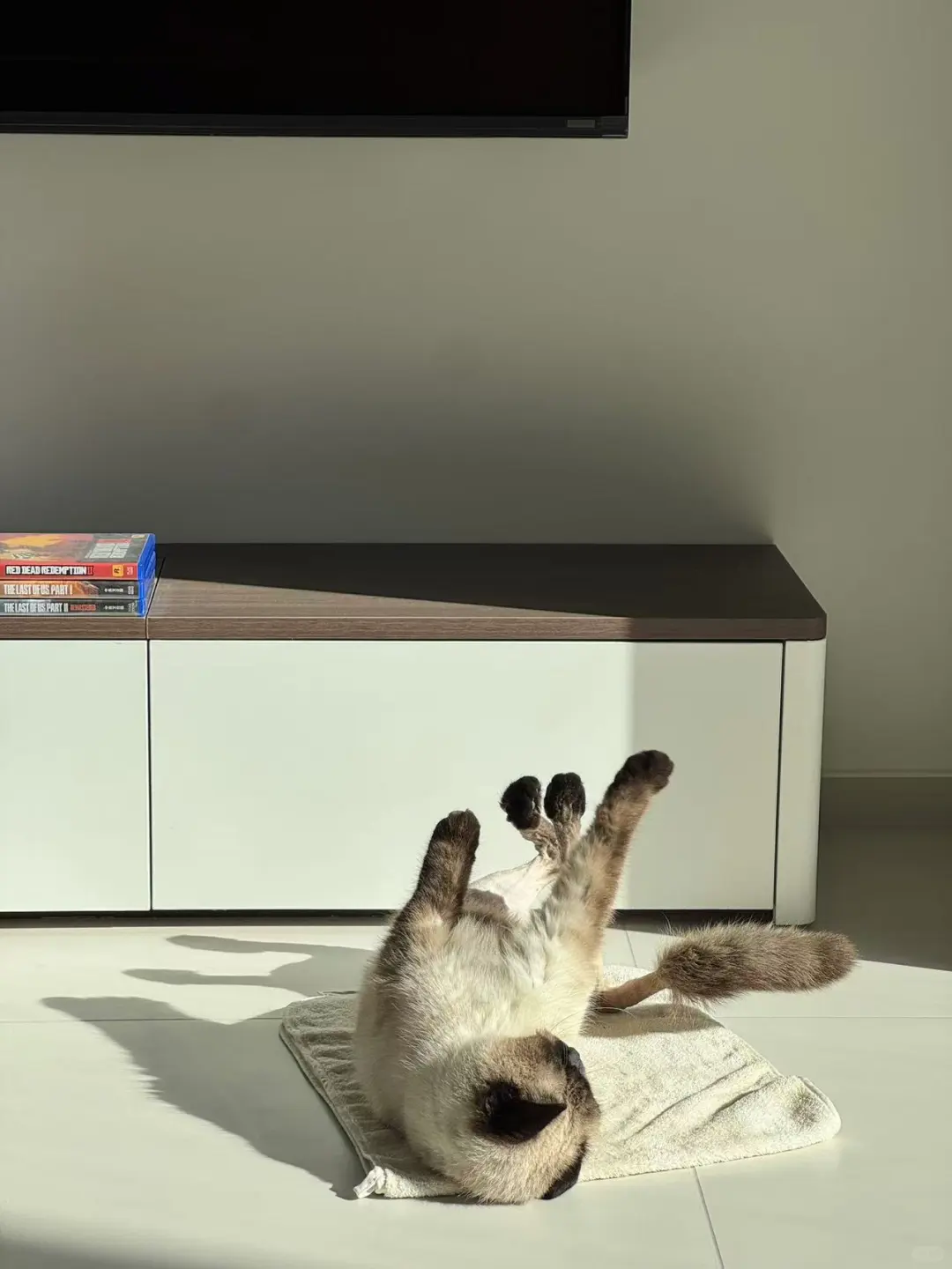 人，泥嚎，我是没穿裤子的咪🐈