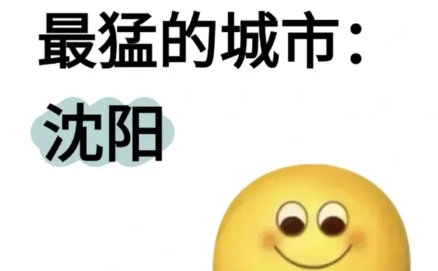 做副业最猛的城市：沈阳