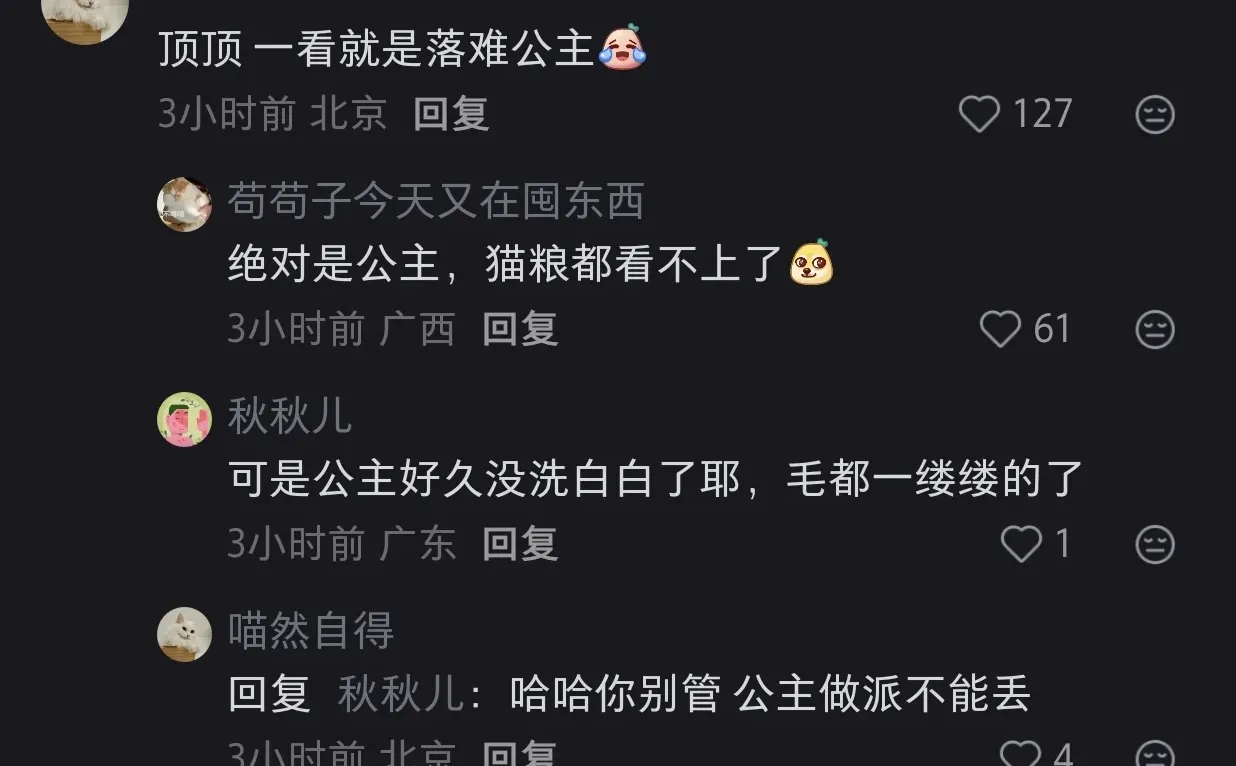 这是谁家祖宗被好心人捡了