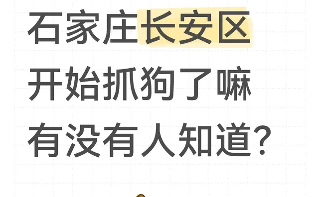 石家庄长安区开始抓狗了嘛 有没有人知道？