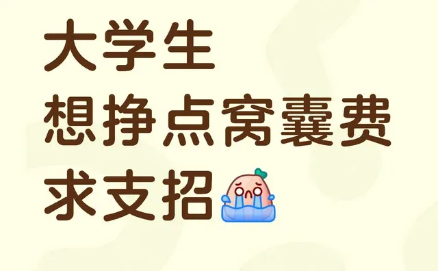 一个卑微的大学生想挣点窝囊费，大家有什么建议吗