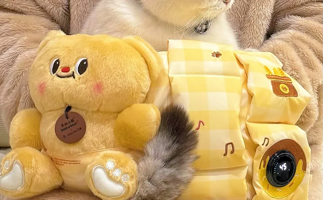 跟你们没猪的 说不清楚