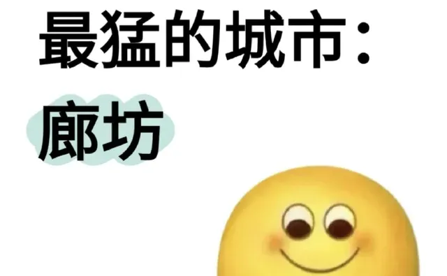 做副业最猛的城市：廊坊