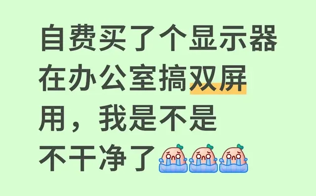 自费买了个显示器在办公室搞双屏用，我是不是不干净了