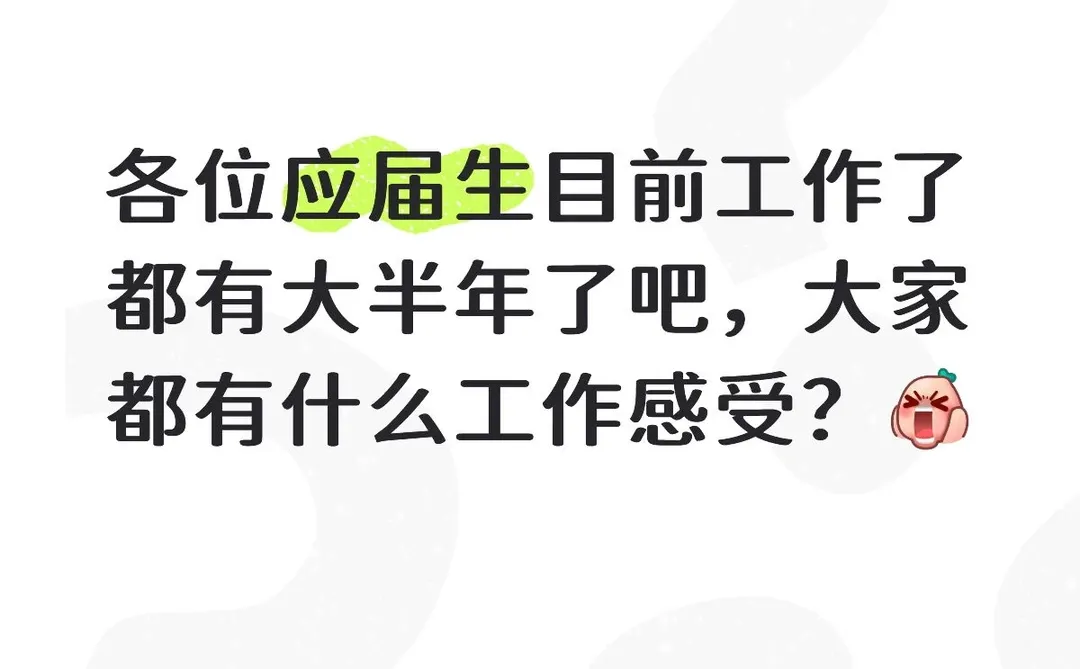 25应届生工作感受