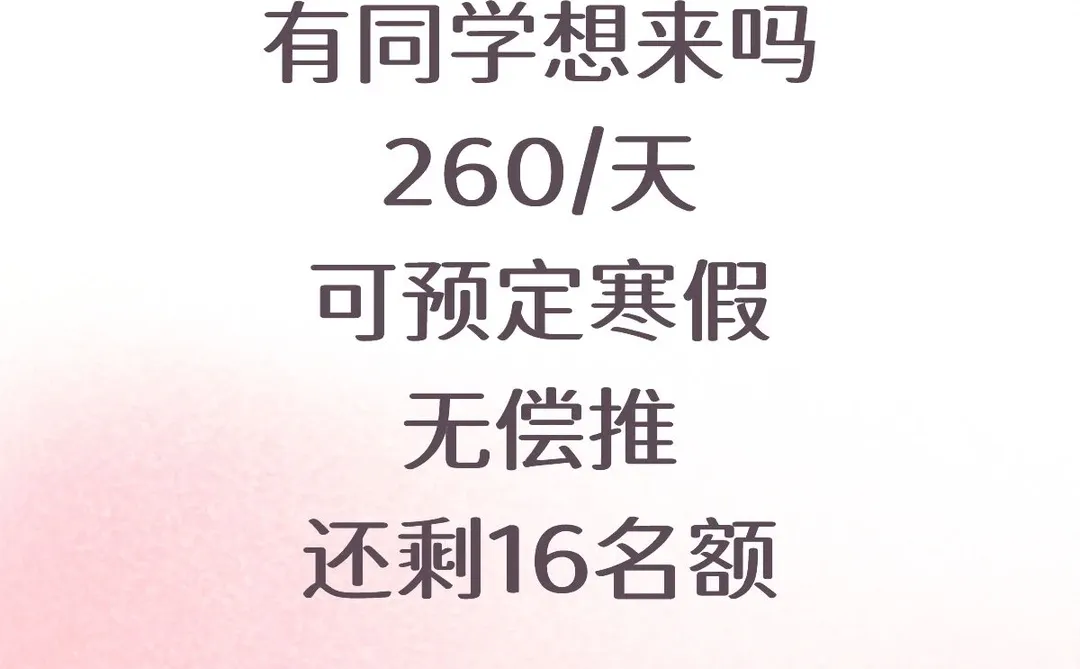 德勤急招实习生，260/天可预定寒假