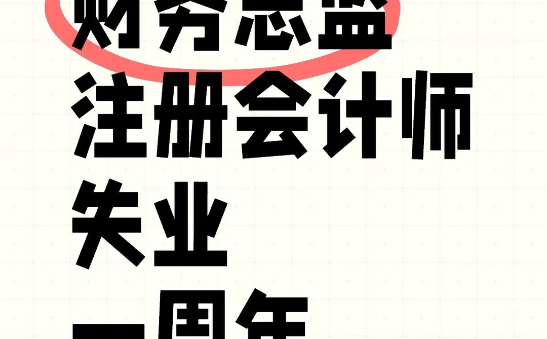 财务总监+cpa，失业一周年感想