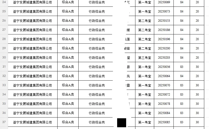 遂宁发展投资集团2025子公司招聘成绩公示