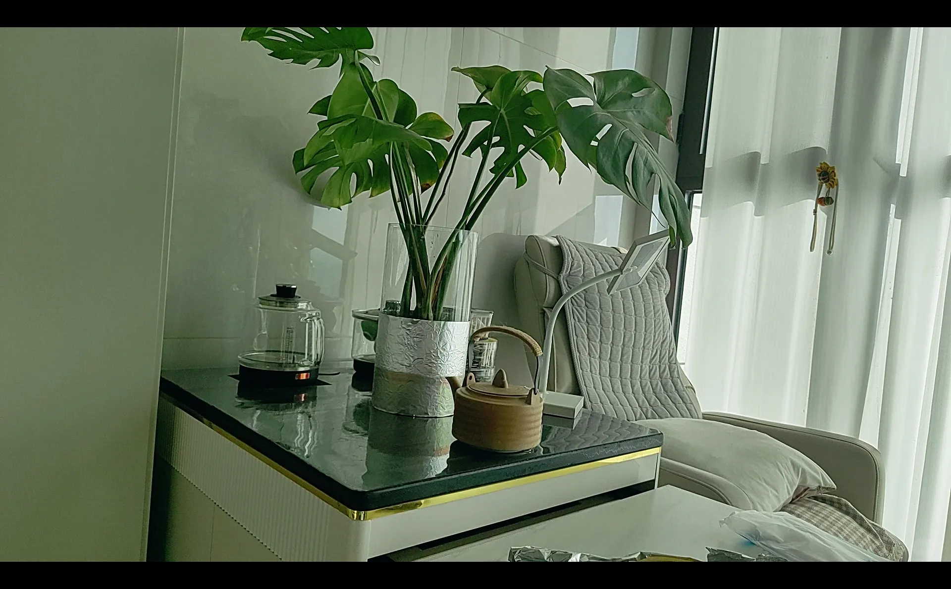 透明玻璃花瓶水培植物解决长爆藻问题