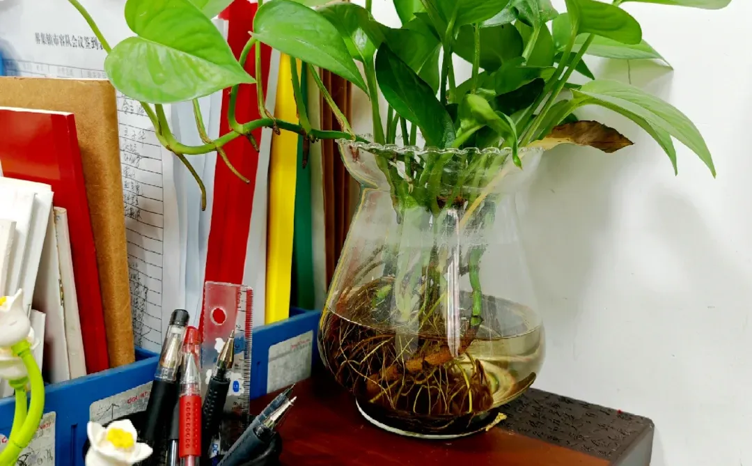 乡镇体制内办公桌改造｜主打捡漏升级