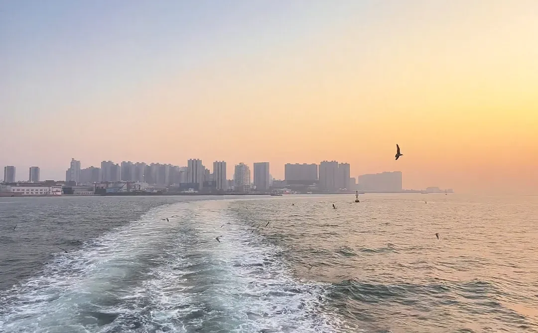 青岛轮渡🚢与陆地失联的四十分钟🌊🕊️