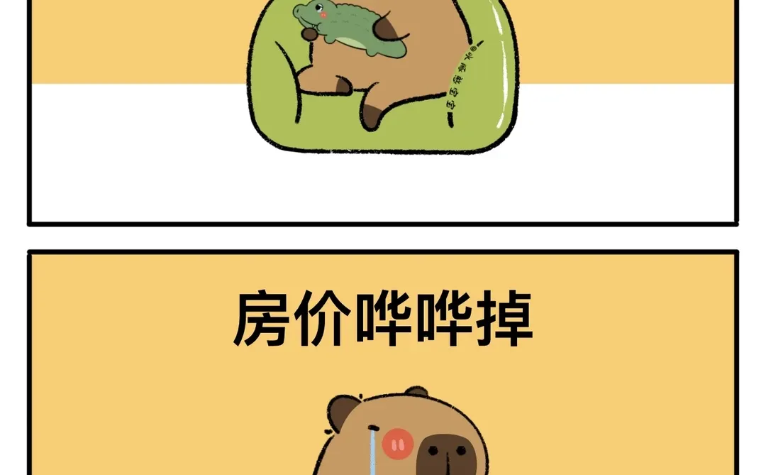 卡皮巴拉：8090是一点时代红利也没占着😨