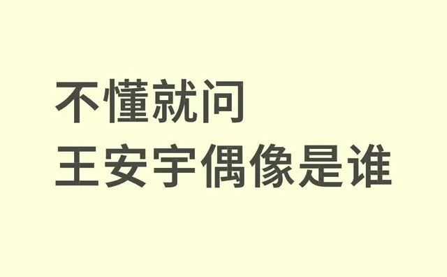 不懂就问 王安宇偶像是谁