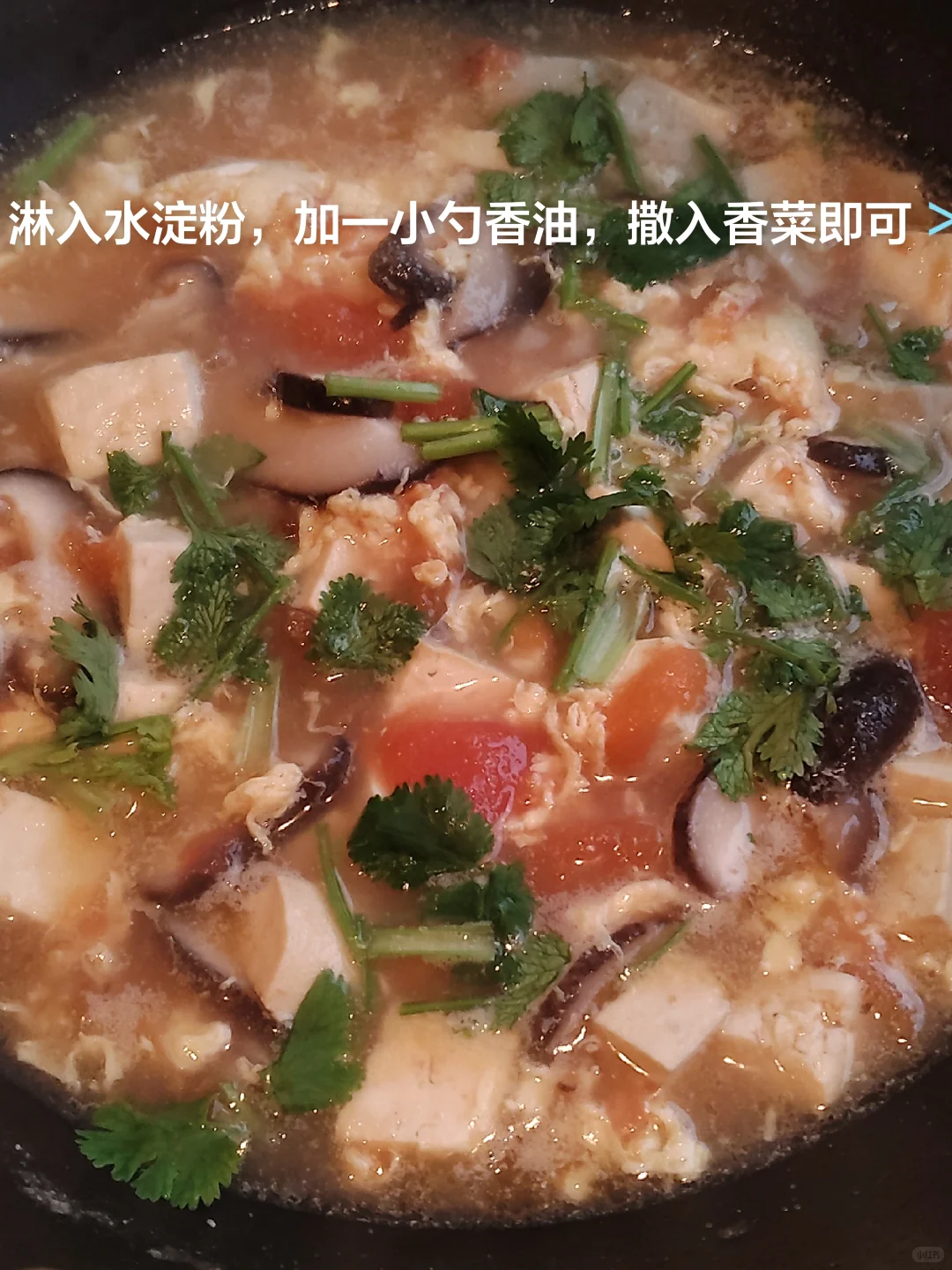 一人简单晚餐Day93//番茄菌菇豆腐汤+糙米饭