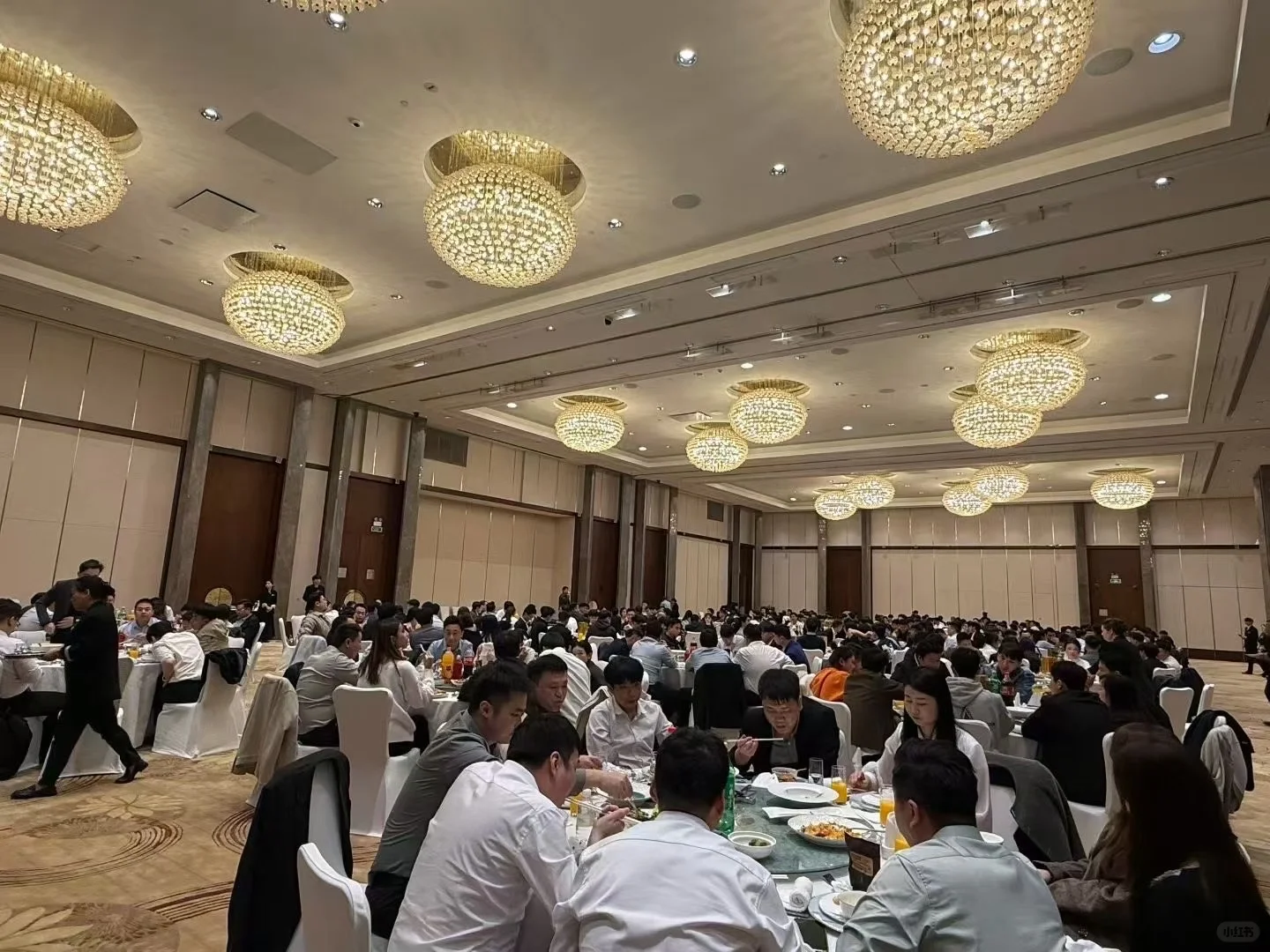 年底招聘，年后也可上班