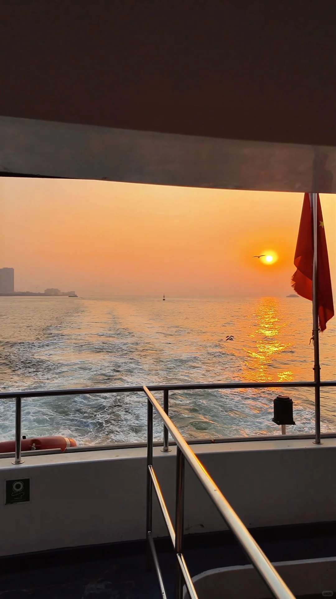 青岛轮渡🚢与陆地失联的四十分钟🌊🕊️