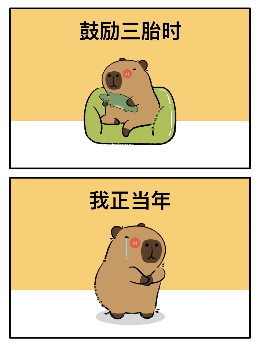 卡皮巴拉：8090是一点时代红利也没占着😨