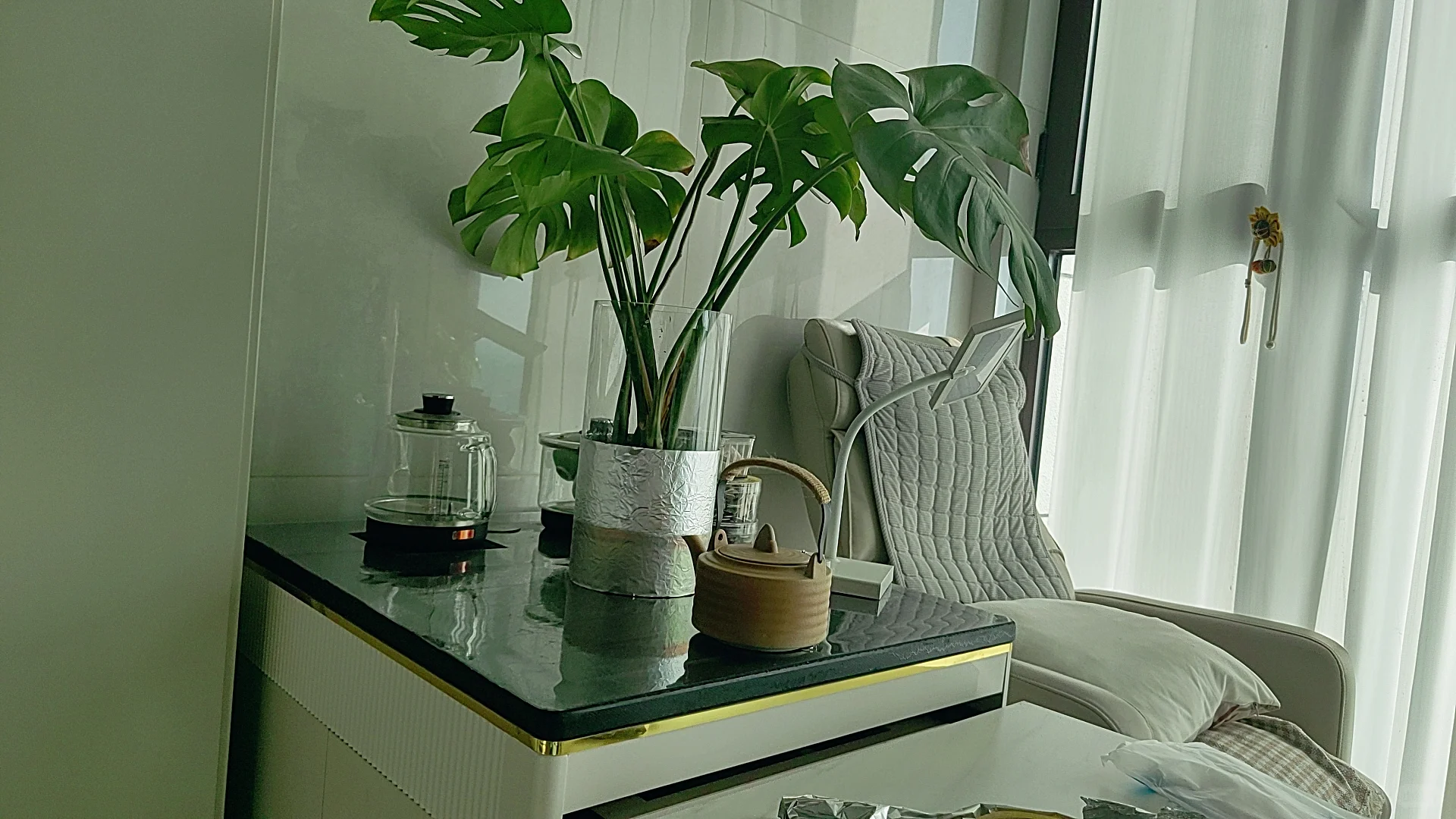 透明玻璃花瓶水培植物解决长爆藻问题