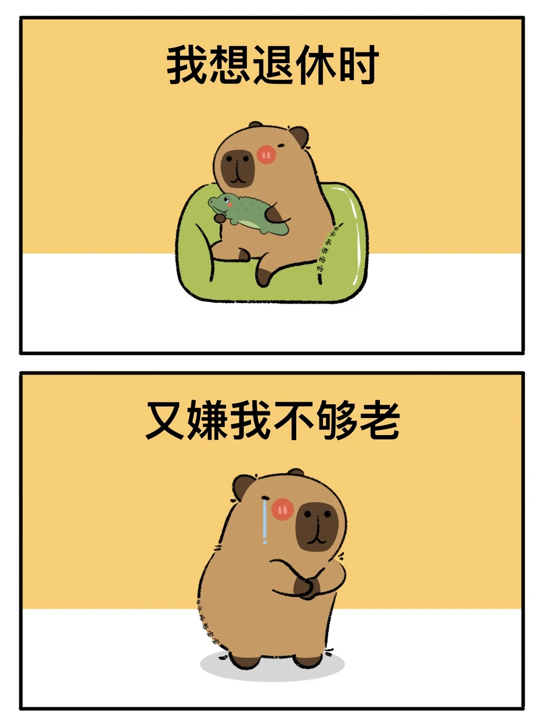 卡皮巴拉：8090是一点时代红利也没占着😨