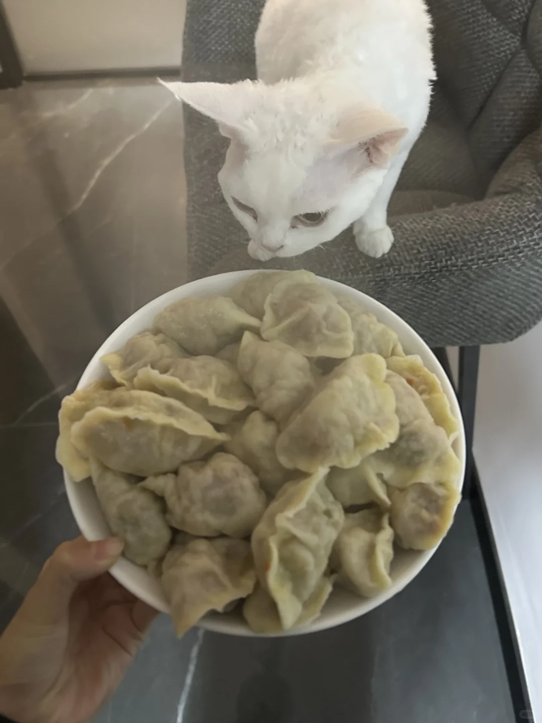 今天发现一个超好吃的饺子馅🥟