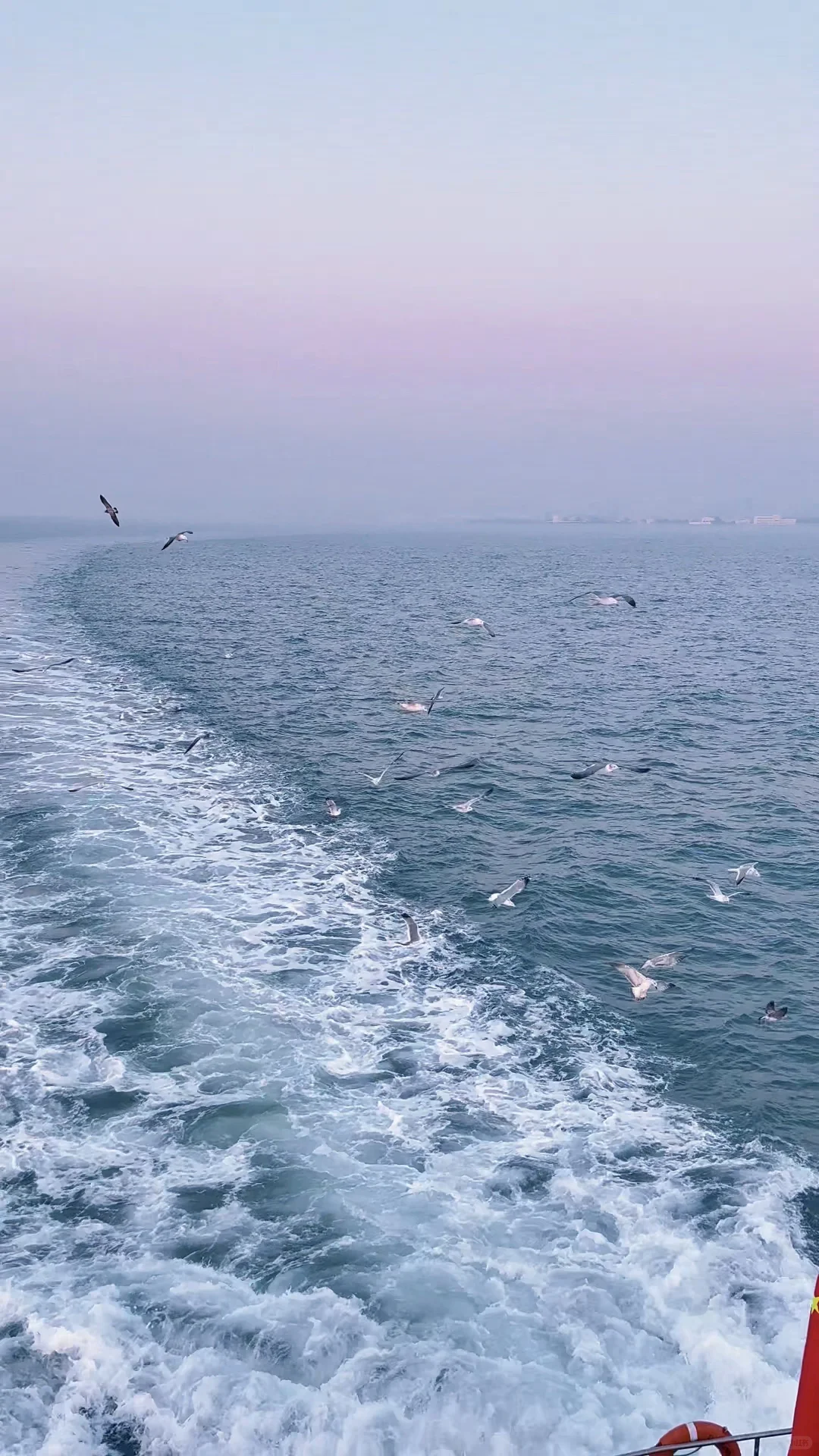 青岛轮渡🚢与陆地失联的四十分钟🌊🕊️