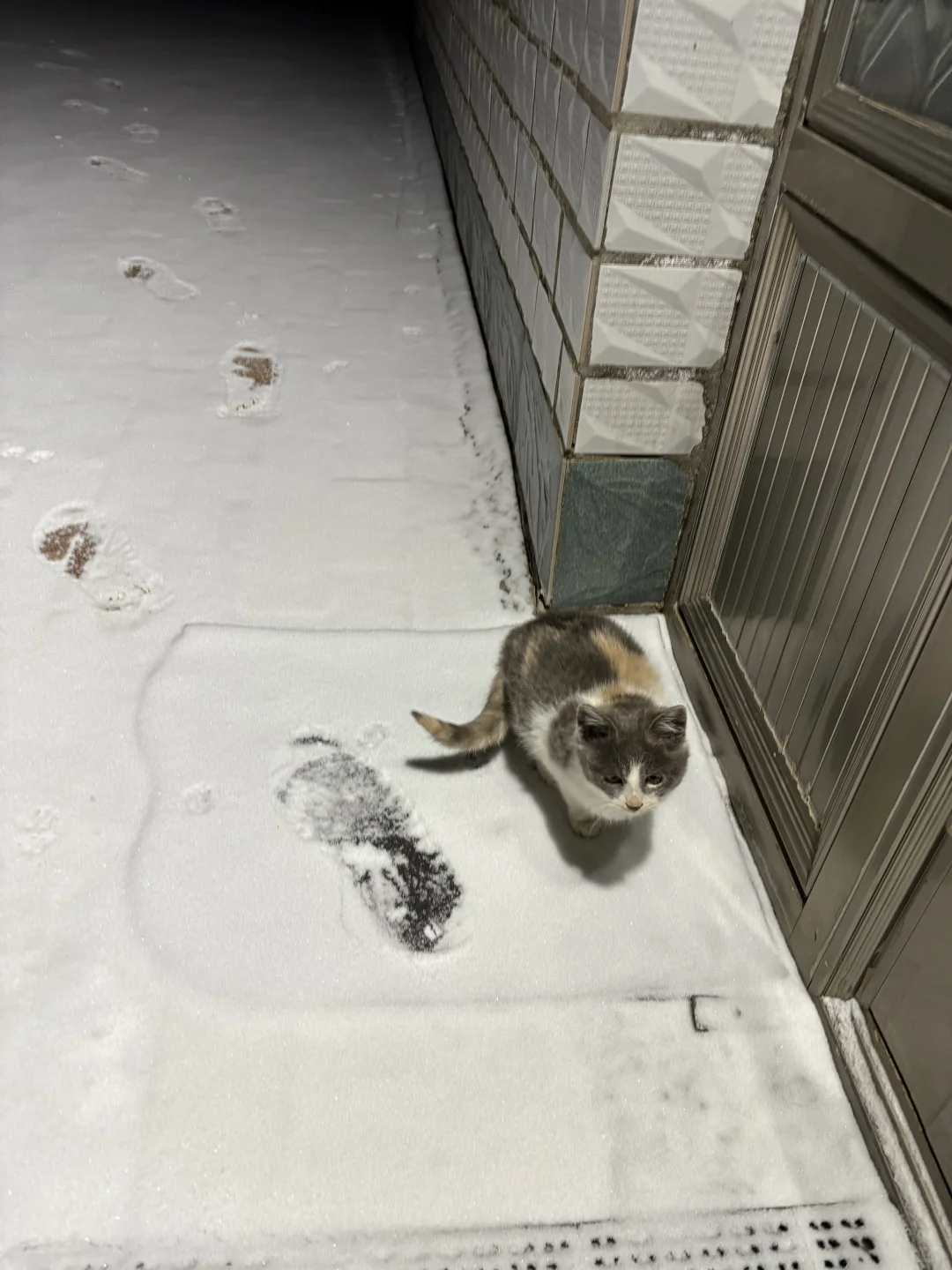 第一批回村过年的东北人已经到家啦