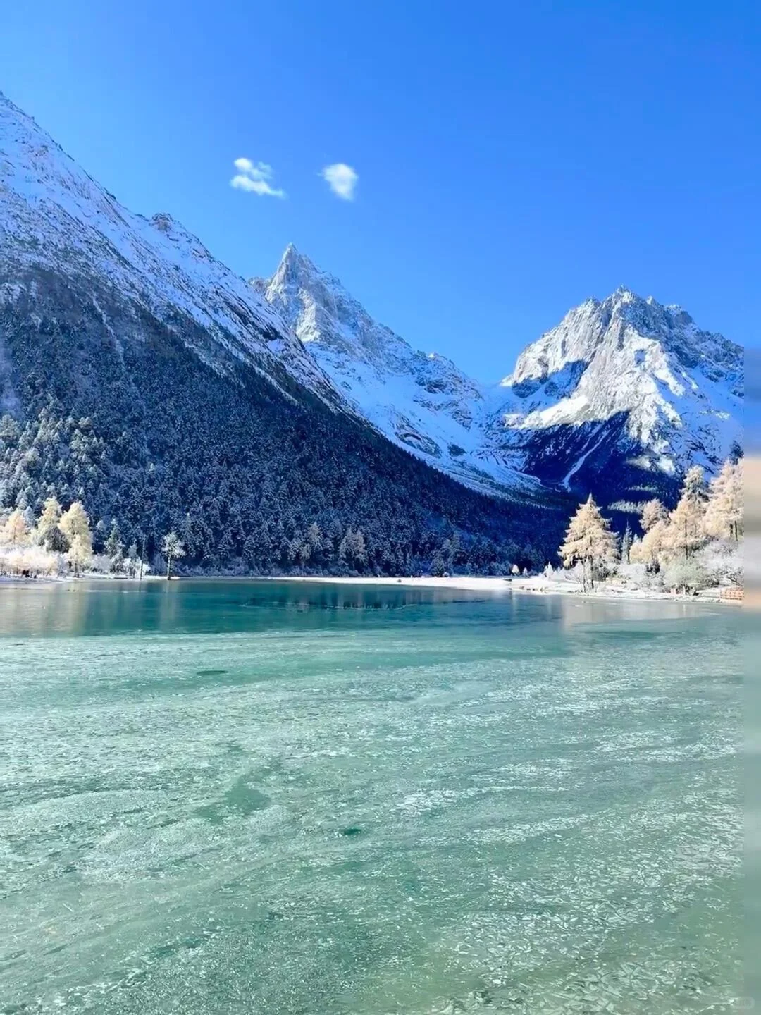 12.22📍毕棚沟现状，live实况直出，美疯了...