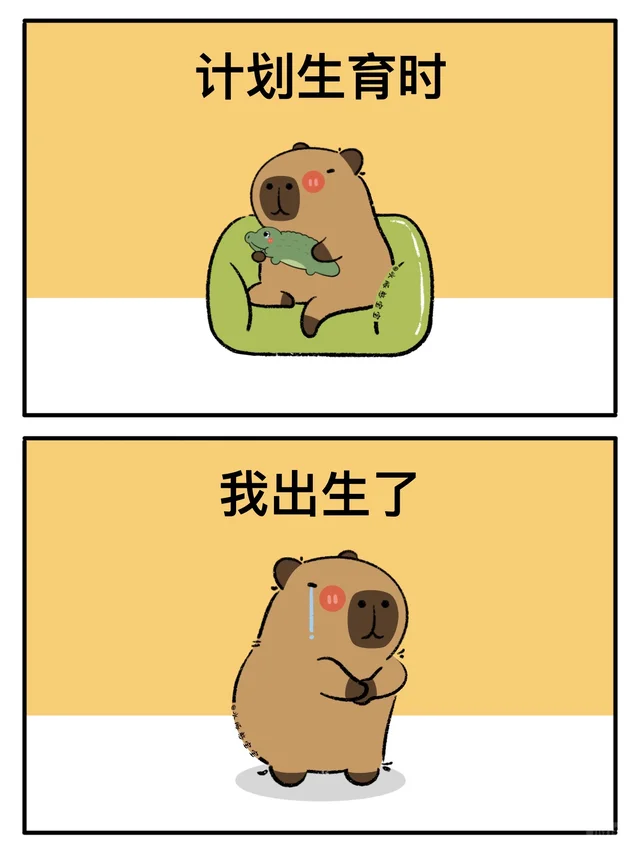 卡皮巴拉：8090是一点时代红利也没占着😨