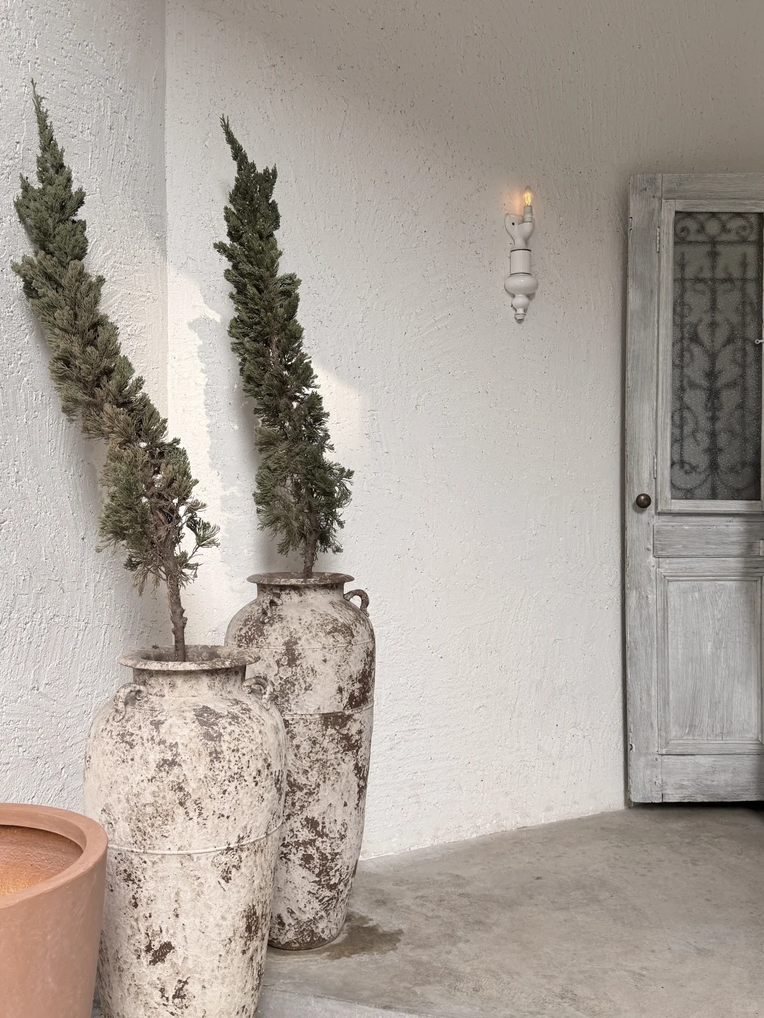 偏爱农学生的：农林方向外企