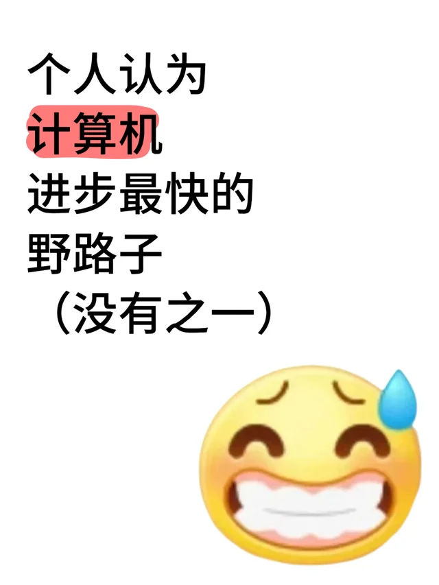 个人认为计算机进步最快的野路子（没有之一