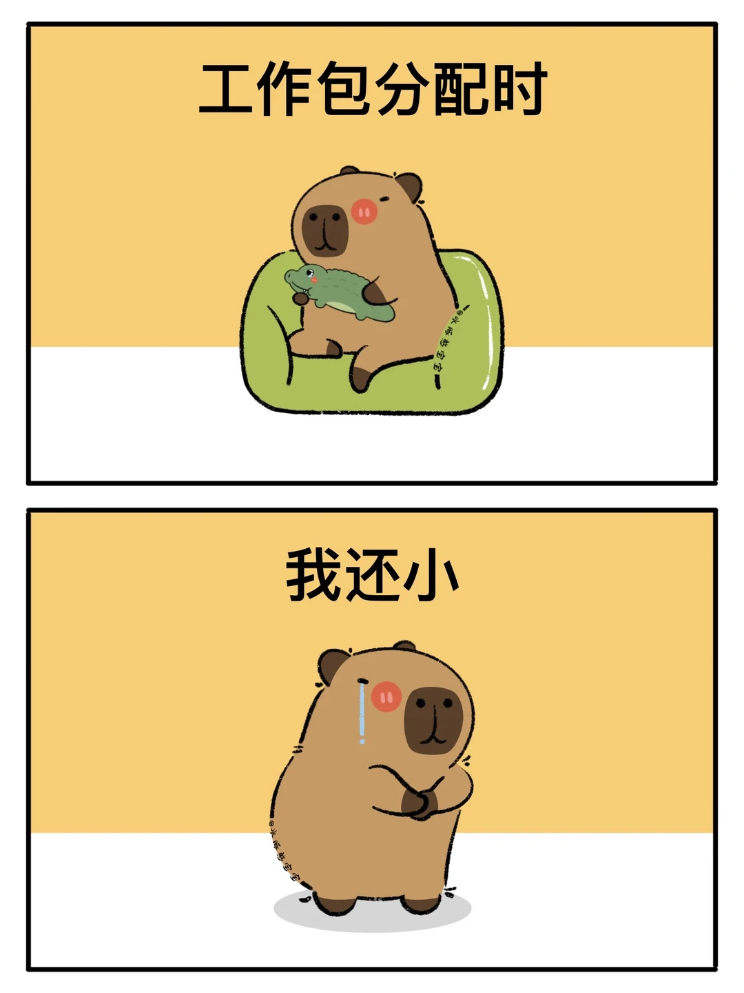 卡皮巴拉：8090是一点时代红利也没占着😨