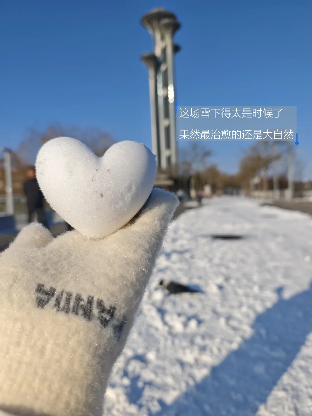 分享最近工作Burnout后养回心气的几个办法