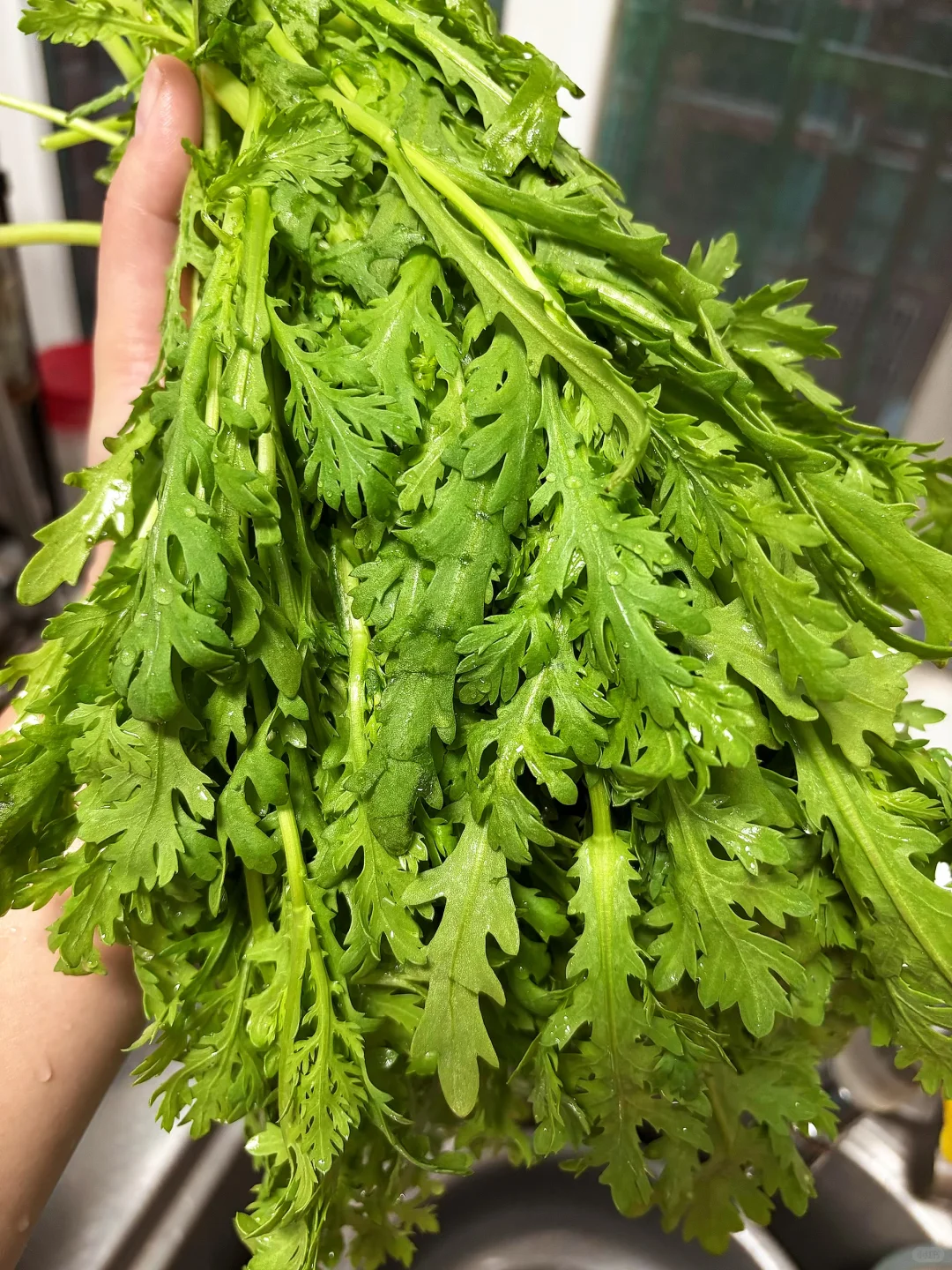 猪肉茼蒿虾仁水饺爱吃的请举手！！