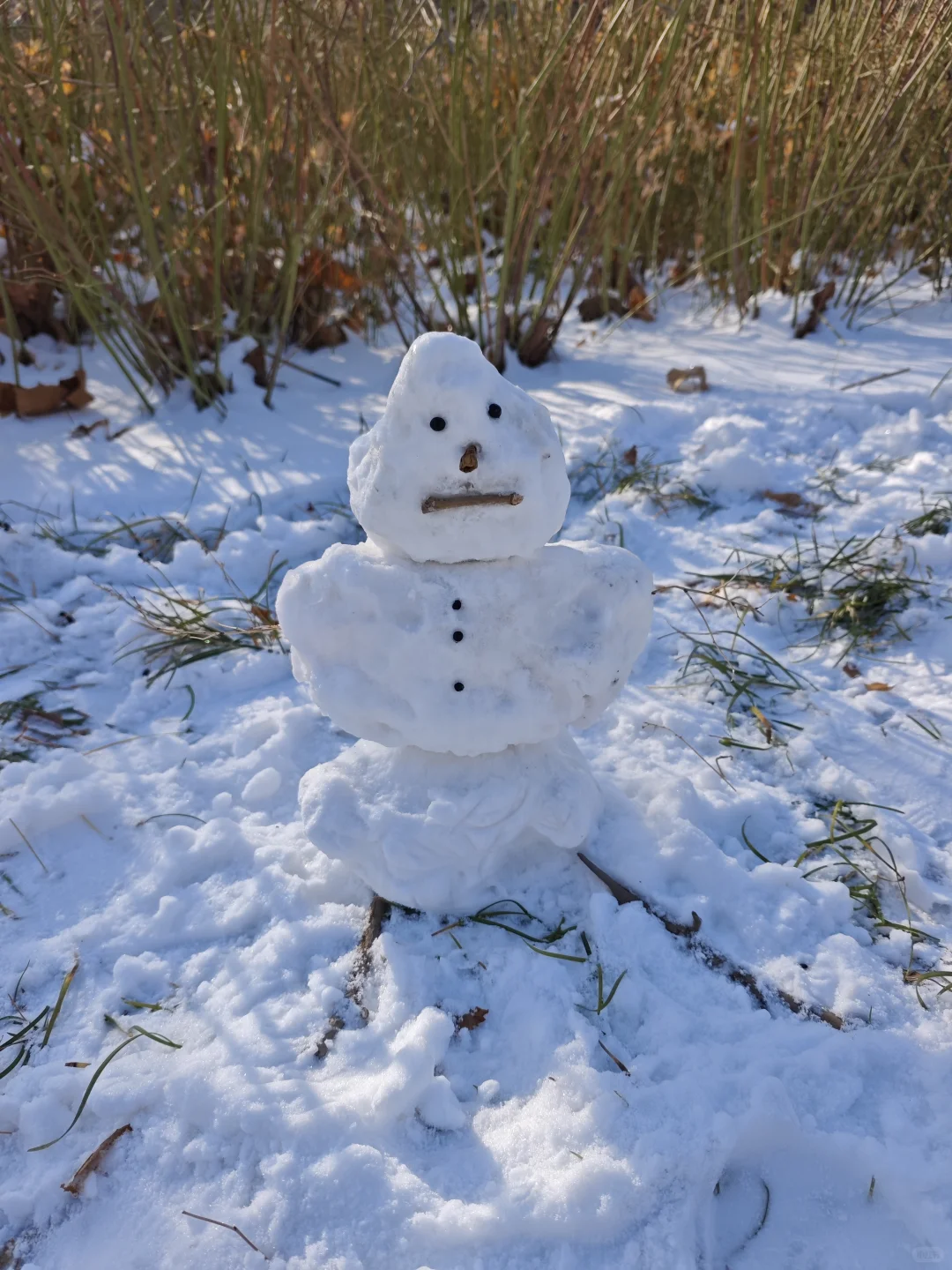 分享最近工作Burnout后养回心气的几个办法