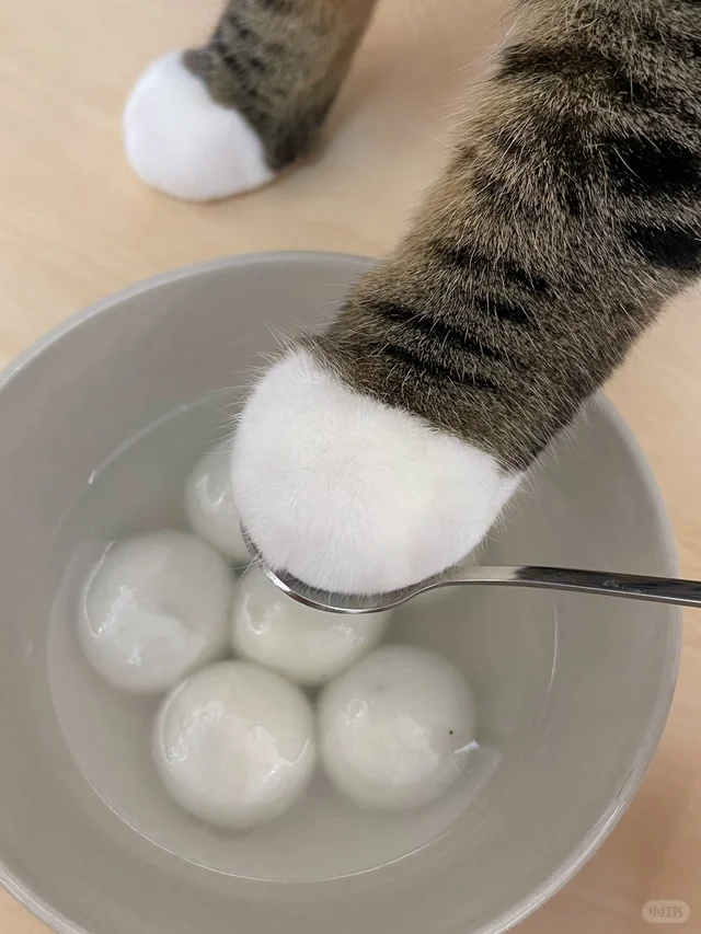 冬至只能吃这种过期长毛的汤圆，想哭...