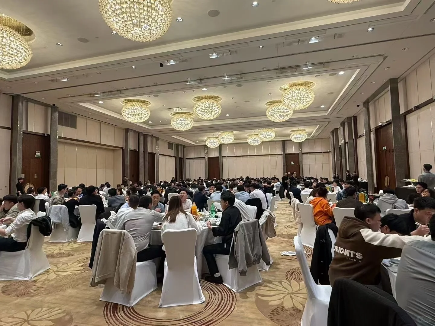 年底招聘，年后也可上班