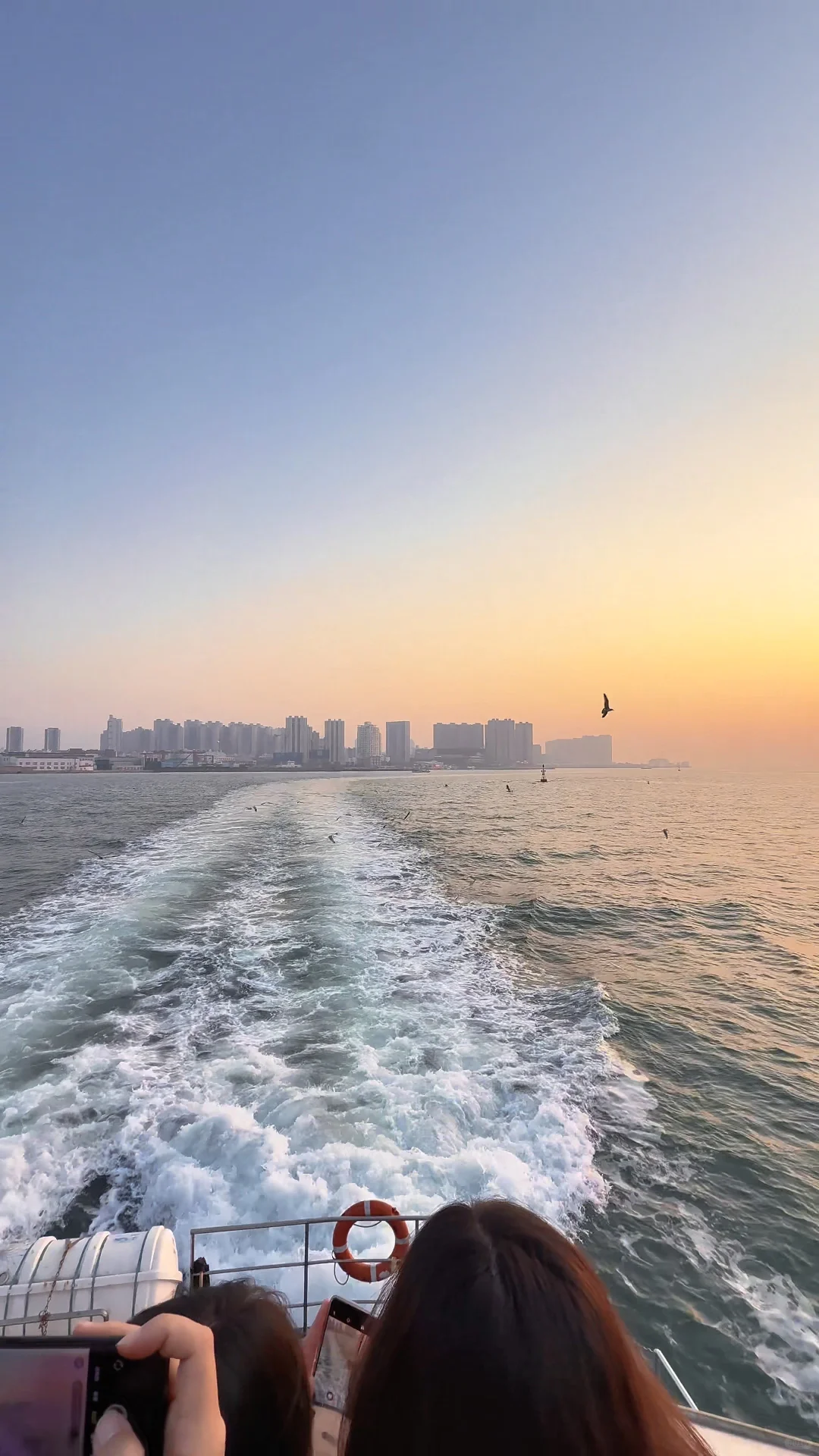 青岛轮渡🚢与陆地失联的四十分钟🌊🕊️
